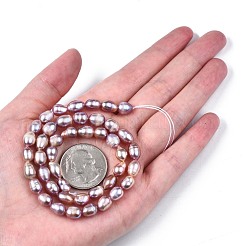 天然養殖淡水パールビーズ連売り  ライス  プラム  7.5~11x6~7.5mm  穴：0.8mm  約37~43個/連  14.06インチ〜14.29インチ（35.7cm〜43cm）&nbsp;X-PEAR-N012-06A