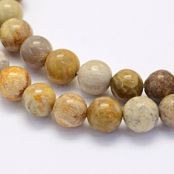 Natural Fossil Coral Beads Strands&nbsp;X-G-G697-F01-8mm