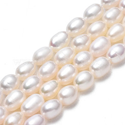 Natural Cultured Freshwater Pearl Beads Strands&nbsp;PEAR-N012-04C