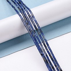 Natural Sodalite Beads Strands&nbsp;LS-G-M389-11