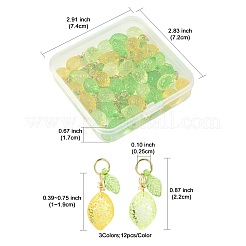 レモンアクリルパーツ36色3個  304ステンレススチール製丸カン付き  ミックスカラー  22mm  穴：2.5mm  12個/カラー&nbsp;PALLOY-FS00059-02
