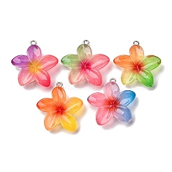 Transparent Resin Pendants&nbsp;RESI-A046-05F