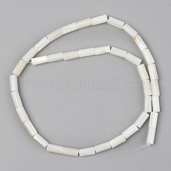 Natural Freshwater Shell Beads Strands&nbsp;SSHEL-R048-006B