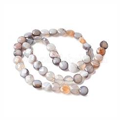 Natural Grey Botswana Agate Beads Strands&nbsp;G-C179-A50-03