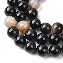 Natural Black Agate Beads Strands&nbsp;G-H343-D02-12mm