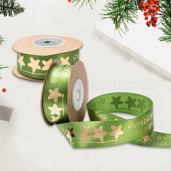 Polyester Ribbon&nbsp;SRIB-P018-B01