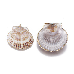 電気メッキシェルペンダント  真鍮パーツ  シェル  ゴールドカラー  40~51x41~48x7~10mm  穴：2mm&nbsp;SSHEL-O019-33
