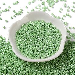 Baking Paint Glass Seed Beads&nbsp;SEED-S042-15A-08