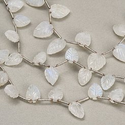 Natural Rainbow Moonstone Carved Beads Strands&nbsp;GG-CBA0C95-E10