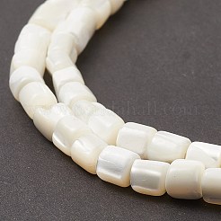 Natural Sea Shell Column Bead Strands&nbsp;SSHEL-M014-22-A