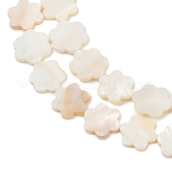 天然淡水シェルビーズ連売り  花  貝殻色  13.5x12.5x1.5~2mm  穴：0.5mm  約29~30個/連  14.96''~15.35''（38~39センチメートル）&nbsp;SHEL-K010-01B