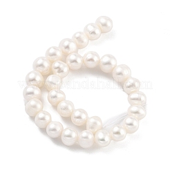 Natural Cultured Freshwater Pearl Beads Strands&nbsp;PEAR-C003-18C