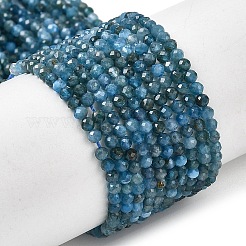 Natural Apatite Beads Strands&nbsp;G-K366-C07-2mm