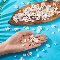 270Pcs 9 Styles Acrylic Imitation Pearl Beads&nbsp;OACR-TA0004-01
