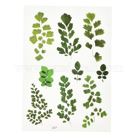 防水プラスチック自己粘着ステッカー  植物模様  葉の模様  15x10.5x0.01cm&nbsp;DIY-F064-13F-1