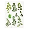 Waterproof Plastic Self Adhesive Stickers, Plant Pattern, Leaf Pattern, 15x10.5x0.01cm
