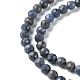 Natural Sapphire Beads Strands&nbsp;G-F748-M01-04-4