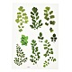 防水プラスチック自己粘着ステッカー  植物模様  葉の模様  15x10.5x0.01cm&nbsp;DIY-F064-13F-1