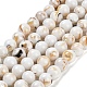 Assembled Synthetic Stone and Trochus Shell Beads Strands&nbsp;G-B128-08B-01-1