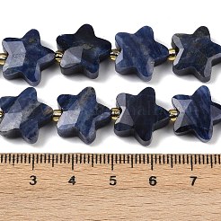 天然石ソーダライトビーズ連売り  多面カット  スター  シードビーズで  14~15x14x6mm  穴：1mm  約27個/連  15.94''（40.5センチメートル）&nbsp;G-P573-C10-01