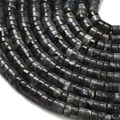 Natural Larvikite Beads Strands&nbsp;G-Z110-A05-2x4mm