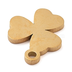 304 Stainless Steel Charms&nbsp;STAS-M076-10G