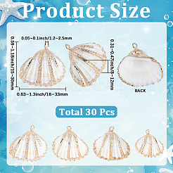 30Pcs Electroplated Natural Shell Pendants&nbsp;SSHEL-SC0001-60