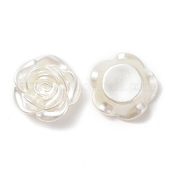 DIY Imitation Pearl Style Jewelry Making Finding Kit&nbsp;SACR-D008-01
