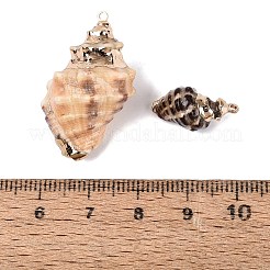 Electroplate Natural Spiral Shell Pendants&nbsp;SSHEL-Q100-46G
