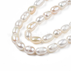 天然養殖淡水パールビーズ連売り  ライス  貝殻色  5.5~9x4~5.5mm  穴：0.6mm  約56~57個/連  13.94インチ〜14.17インチ（35.4cm〜36cm）&nbsp;PEAR-N012-04B