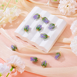 10Pcs Transparent Acrylic Pendants&nbsp;SACR-TA0001-66C