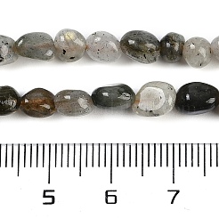 天然石ラブラドライトビーズ連売り  ナゲット  タンブルストーン  4~6x7~10x4~6mm  穴：1mm  15.75''（40センチメートル）&nbsp;G-P497-01B-03