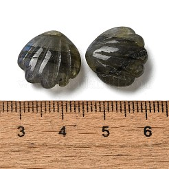 天然ラブラドライト彫刻ビーズ  穴がない  シェル形状  15x15x6.5mm&nbsp;G-N343-02