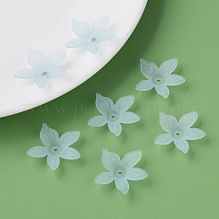 Transparent Acrylic Beads&nbsp;MACR-S373-127-D02