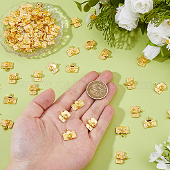 70Pcs Alloy Pendants&nbsp;FIND-DC0007-95G