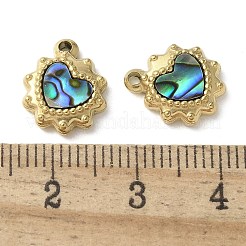 304 Stainless Steel Natural Paua Shell/White Shell Pendants Ion Plating(IP)&nbsp;STAS-U037-05G-01
