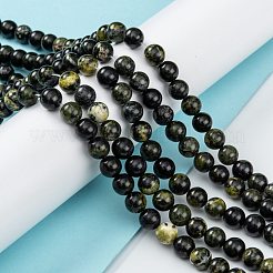 Natural Serpentine Beads Strands&nbsp;G-F709-01