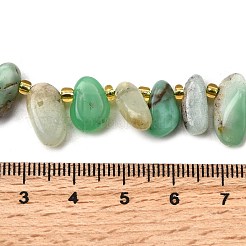 Natural Chrysoprase Beads Strands&nbsp;G-Z091-A04