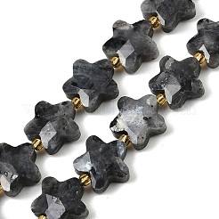 Natural Larvikite Beads Strands&nbsp;G-P573-C11-01