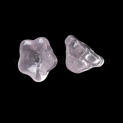 Baking Paint Transparent Glass Beads&nbsp;GLAA-T025-81C-09