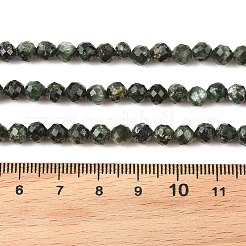 天然セラフィナイトビーズ連売り  多面カット  ラウンド  5mm  穴：0.9mm  約76~79個/連  15''~15.55''（38.1~39.5センチメートル）&nbsp;G-K376-A02-5mm