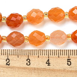 Natural Orange Botswana Agate Beads Strands&nbsp;G-N342-45
