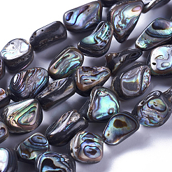 天然アワビ貝/パウア貝ビーズ1連  ナゲット  10~19x9~14x5~8mm  穴：1mm  約28~30個/連  15.7~15.9インチ（40~40.5cm）&nbsp;SSHEL-PA0001-03