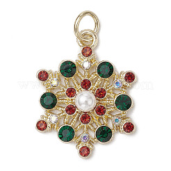Alloy Pendants&nbsp;PALLOY-JF02967