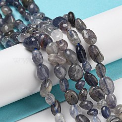 天然のアイオライトビーズ連売り  ナゲット  タンブルストーン  3~11x4~8x3~6mm  穴：0.9mm  約56個/連  15.94''~15.75''（40~40.5センチメートル）&nbsp;G-P497-01A-13
