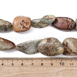 Natural Shoushan Stone Beads Strands&nbsp;G-D098-C05