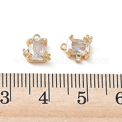 Brass Micro Pave Clear Cubic Zirconia Charms&nbsp;KK-P355-11G