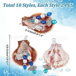20Pcs 10 Styles Shell Big Pendants&nbsp;PALLOY-PH01671