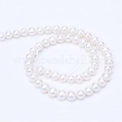 天然養殖淡水パールビーズ連売り  ラウンド  フローラルホワイト  8~9mm  穴：0.8mm  約52個/連  15.7インチ&nbsp;PEAR-R063-11