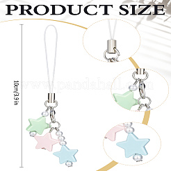 1Pc Resin with Alloy and Nylon Cord Mobile Accessories Decoration&nbsp;HJEW-LP0002-12C